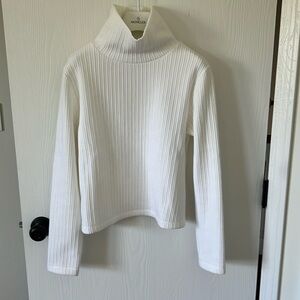 Aritzia Babaton turtleneck sweater